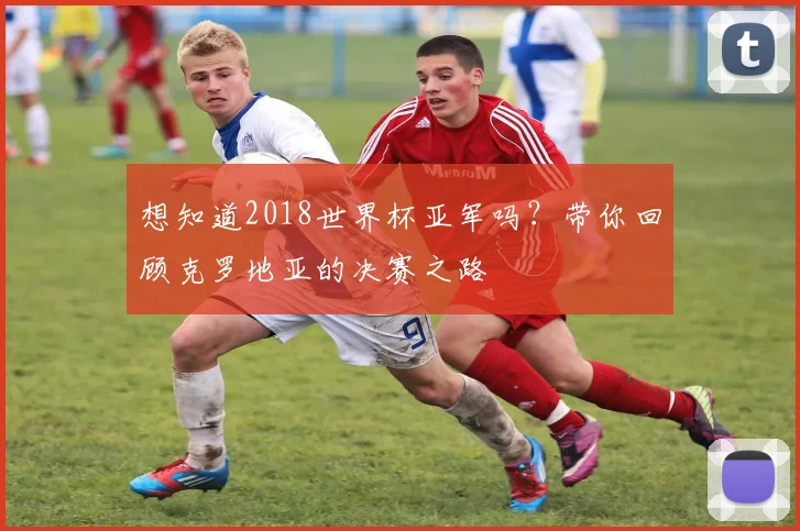 想知道2018世界杯亚军吗？带你回顾克罗地亚的决赛之路