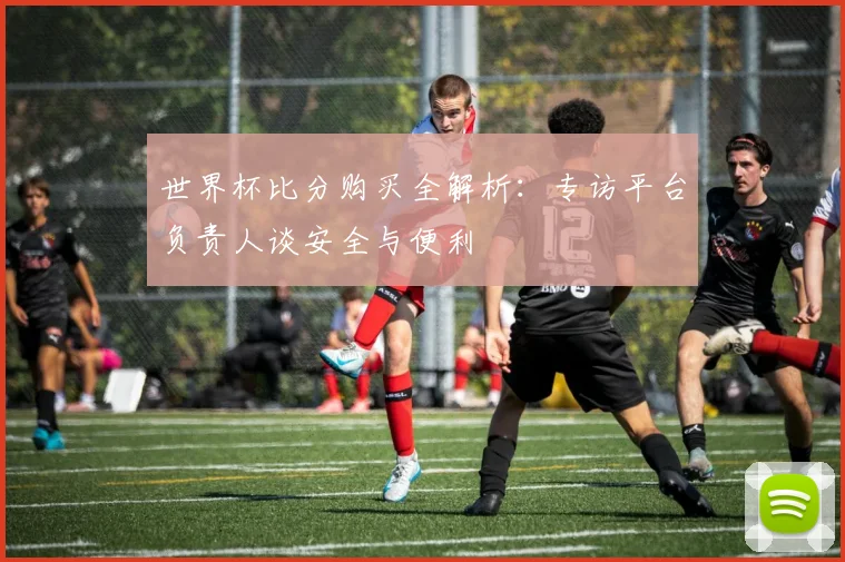 世界杯比分购买全解析：专访平台负责人谈安全与便利