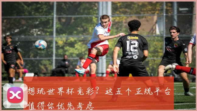 想玩世界杯竞彩？这五个正规平台值得你优先考虑