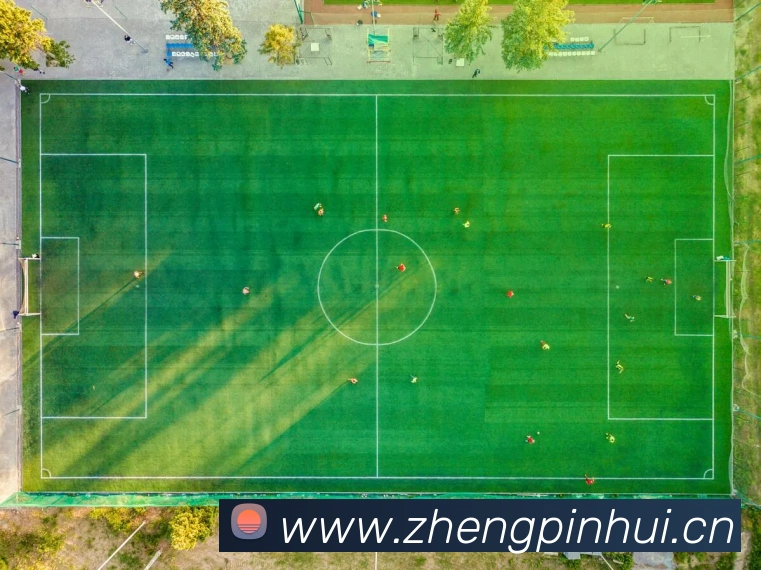 爱游戏全站app下载平台生态图